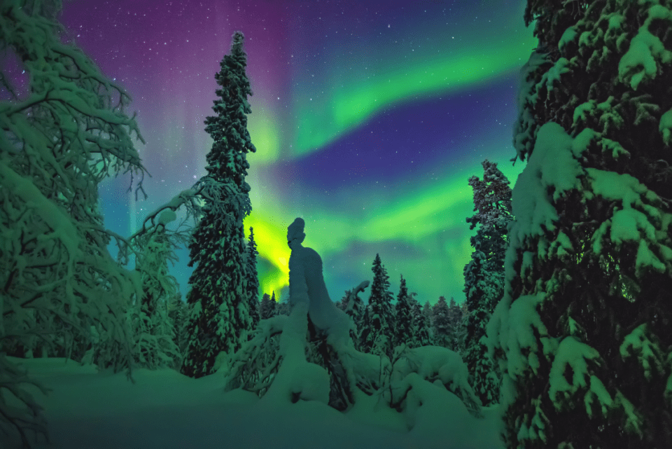 The Aurora Borealis in Lapland