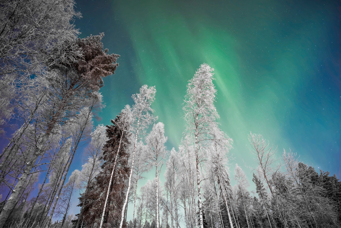 The Aurora Borealis in Lapland