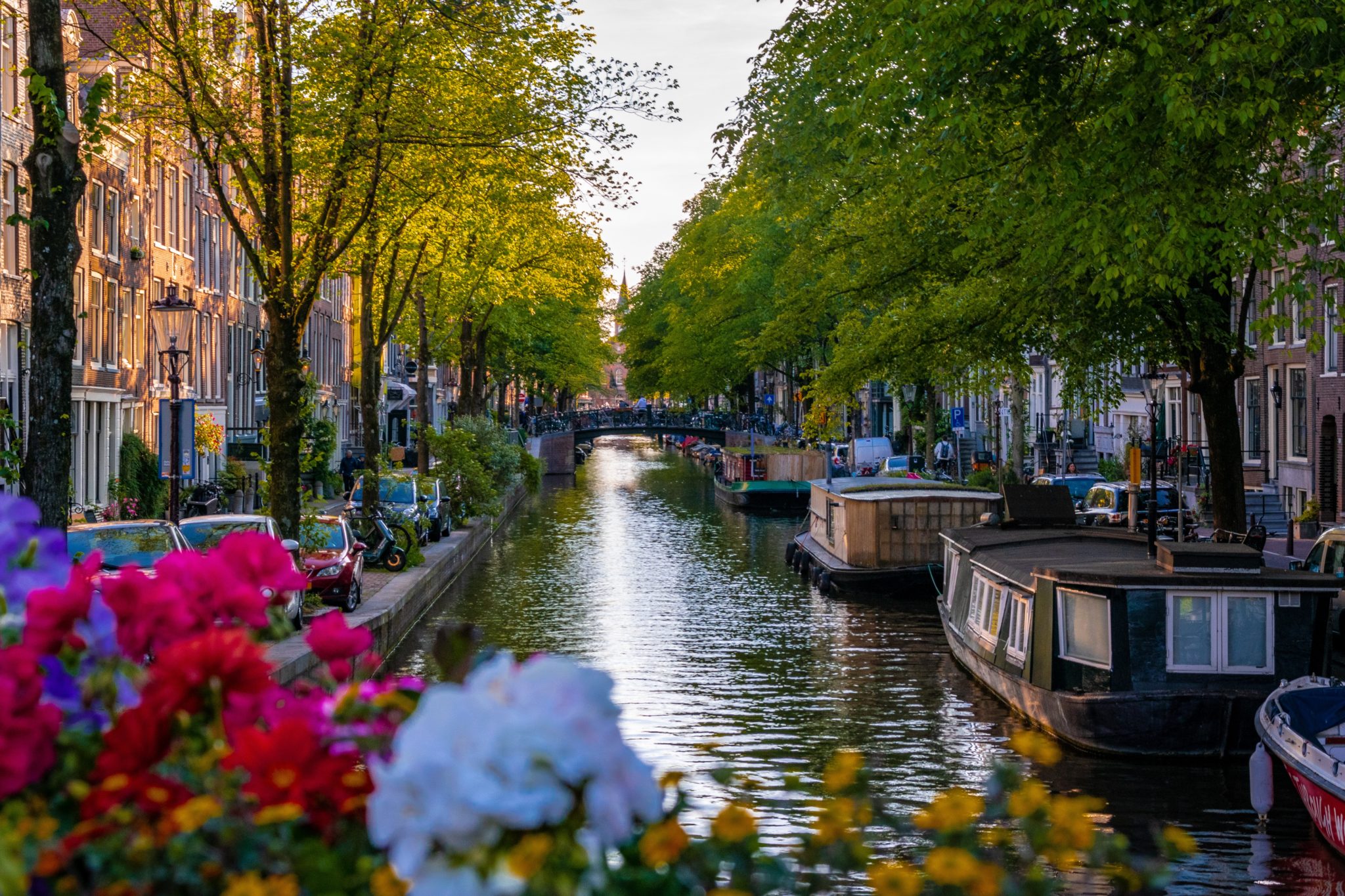 The canals of Amsterdam in the summer.