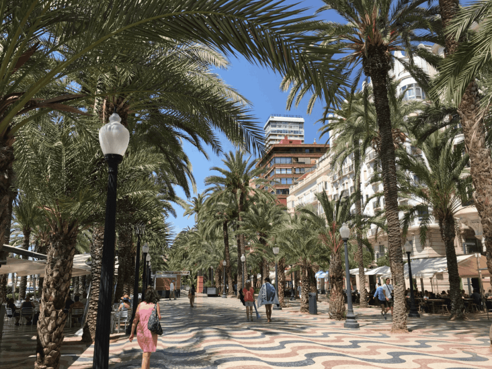 Palm trees lining Esplanada d'Espanya, Alicante, Spain