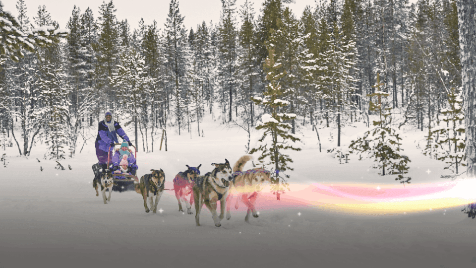 Huskies in Lapland