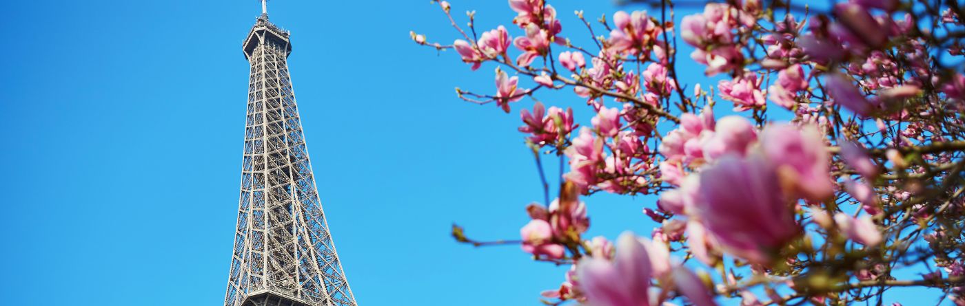 Parisian skyline with Eiffel Tower and cherry blossom