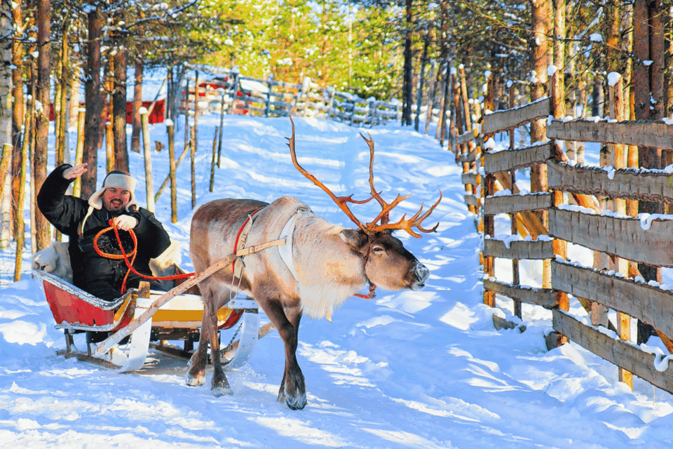 Sleigh ride in Rovaniemi, Finland