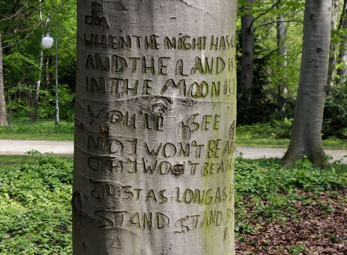 Tiergarten, Berlin