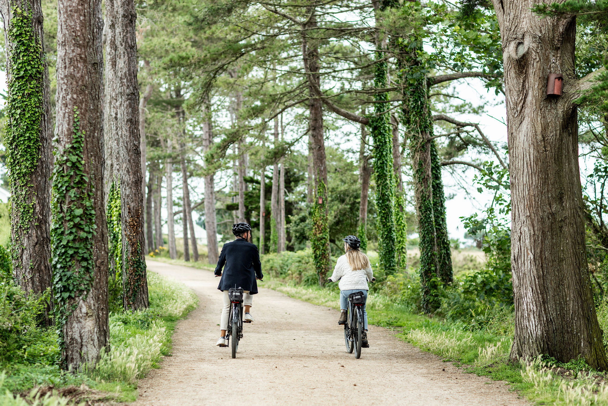Bike ride through the trees in Jersey.