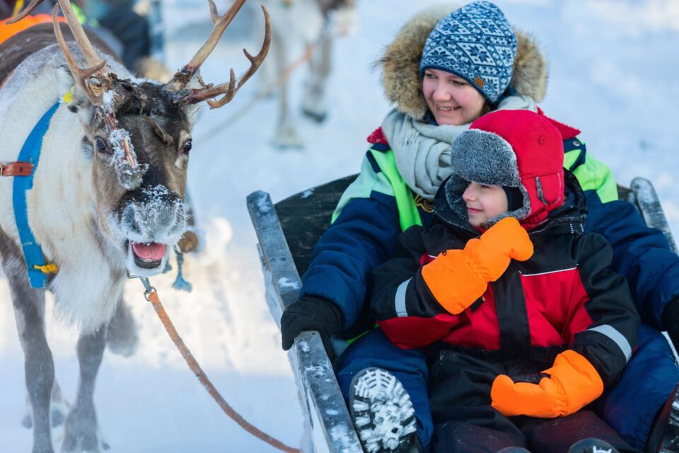 Lapland Experience