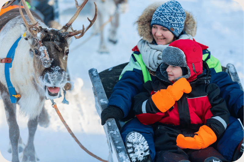 The Lapland Experience